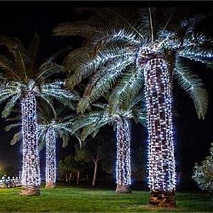 Cortina Led 100w ( 2 x 9 m )